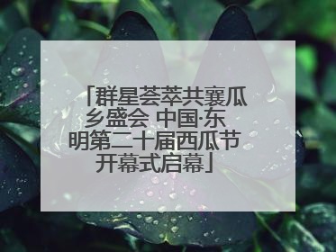 群星荟萃共襄瓜乡盛会 中国·东明第二十届西瓜节开幕式启幕