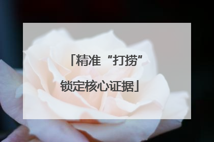 精准“打捞”锁定核心证据