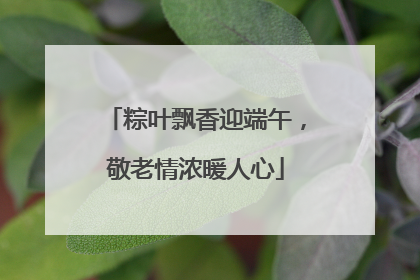 粽叶飘香迎端午，敬老情浓暖人心