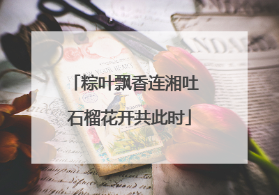 粽叶飘香连湘吐 石榴花开共此时