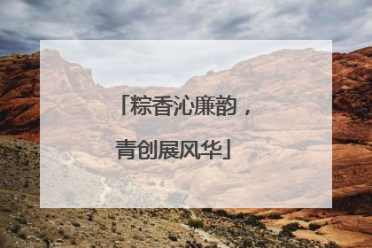 粽香沁廉韵，青创展风华