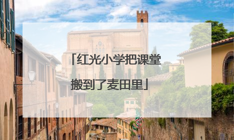 红光小学把课堂搬到了麦田里