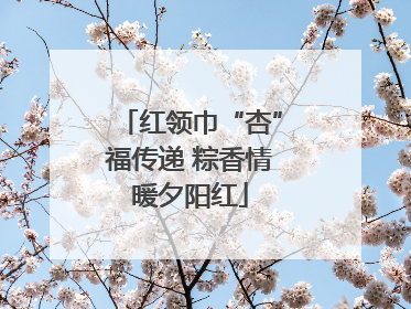 红领巾“杏”福传递 粽香情暖夕阳红