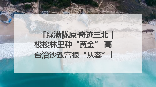 绿满陇原·奇迹三北｜梭梭林里种“黄金” 高台治沙致富很“从容”