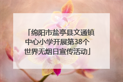 绵阳市盐亭县文通镇中心小学开展第38个世界无烟日宣传活动