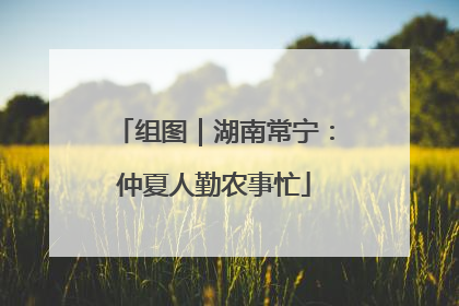 组图｜湖南常宁：仲夏人勤农事忙