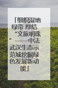 细织湿地绿带 厚结“文旅明珠”——中法武汉生态示范城挖掘绿色发展新动能