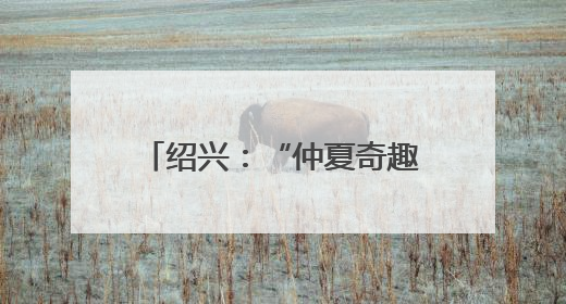 绍兴：“仲夏奇趣夜”点燃夜经济