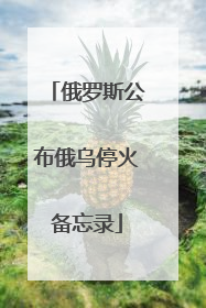 俄罗斯公布俄乌停火备忘录