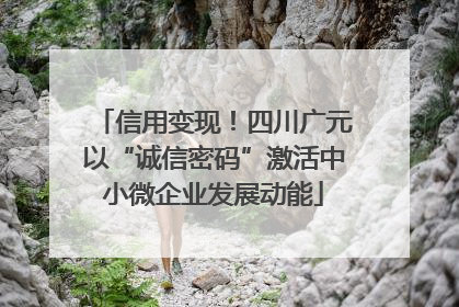信用变现！四川广元以“诚信密码”激活中小微企业发展动能