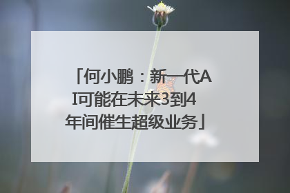 何小鹏：新一代AI可能在未来3到4年间催生超级业务
