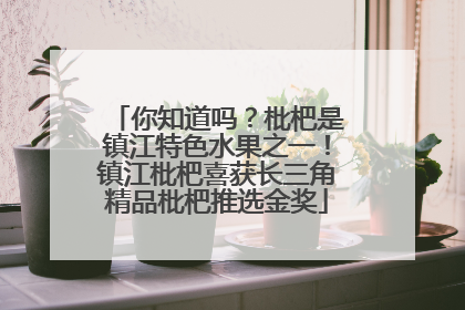 你知道吗？枇杷是镇江特色水果之一！镇江枇杷喜获长三角精品枇杷推选金奖
