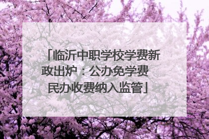 临沂中职学校学费新政出炉：公办免学费 民办收费纳入监管