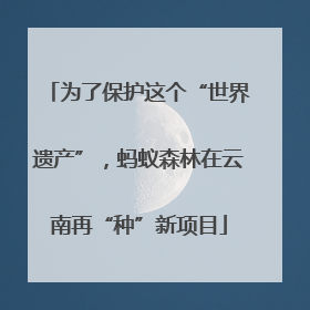 为了保护这个“世界遗产”，蚂蚁森林在云南再“种”新项目