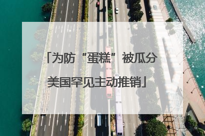 为防“蛋糕”被瓜分 美国罕见主动推销