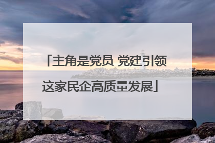 主角是党员 党建引领这家民企高质量发展