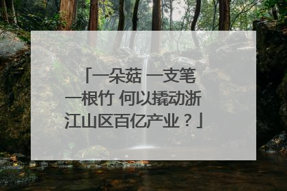 一朵菇 一支笔 一根竹 何以撬动浙江山区百亿产业？