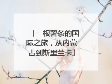 一根薯条的国际之旅，从内蒙古到斯里兰卡