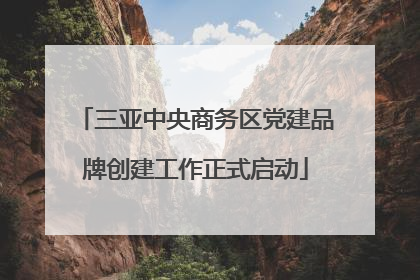 三亚中央商务区党建品牌创建工作正式启动
