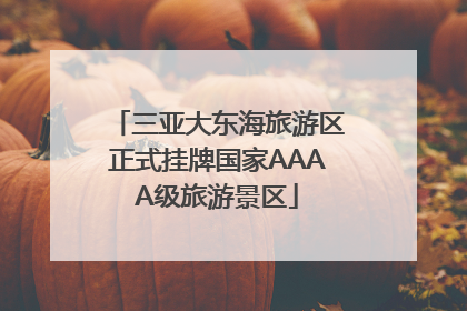 三亚大东海旅游区正式挂牌国家AAAA级旅游景区
