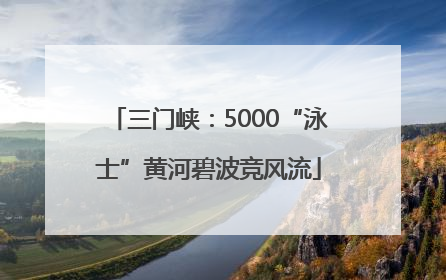 三门峡：5000“泳士”黄河碧波竞风流
