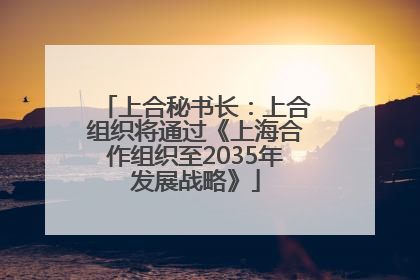 上合秘书长：上合组织将通过《上海合作组织至2035年发展战略》