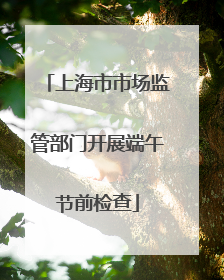 上海市市场监管部门开展端午节前检查