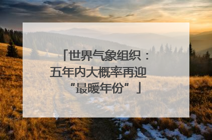 世界气象组织：五年内大概率再迎“最暖年份”
