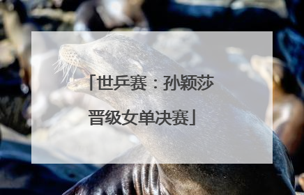 世乒赛：孙颖莎晋级女单决赛