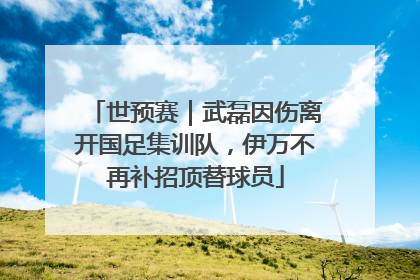 世预赛｜武磊因伤离开国足集训队，伊万不再补招顶替球员