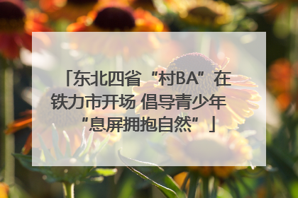 东北四省“村BA”在铁力市开场 倡导青少年“息屏拥抱自然”