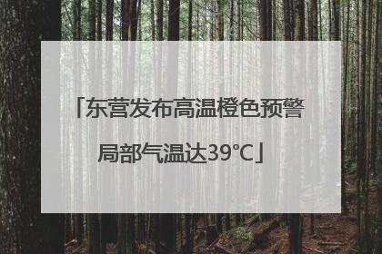 东营发布高温橙色预警 局部气温达39℃