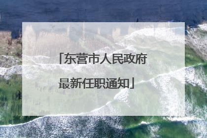 东营市人民政府最新任职通知
