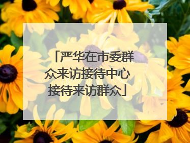 严华在市委群众来访接待中心接待来访群众