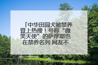 中华田园犬被禁养登上热搜！号称“微笑天使”的萨摩耶也在禁养名列 网友不解西安多部门回应