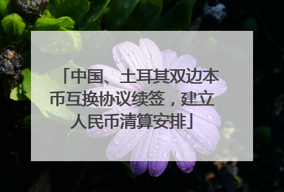 中国、土耳其双边本币互换协议续签，建立人民币清算安排