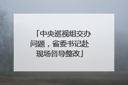 中央巡视组交办问题，省委书记赴现场督导整改