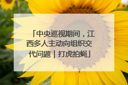 中央巡视期间，江西多人主动向组织交代问题｜打虎拍蝇