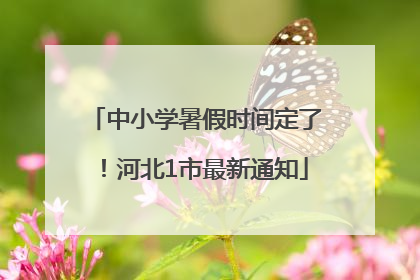 中小学暑假时间定了！河北1市最新通知