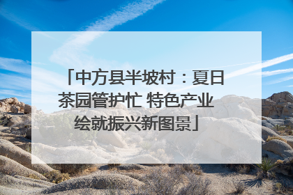 中方县半坡村：夏日茶园管护忙 特色产业绘就振兴新图景