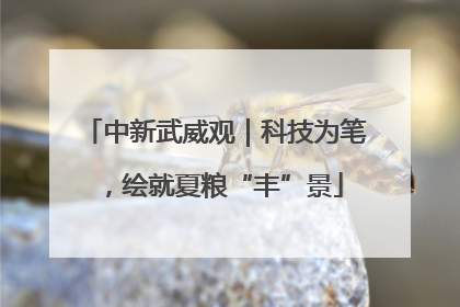 中新武威观｜科技为笔，绘就夏粮“丰”景