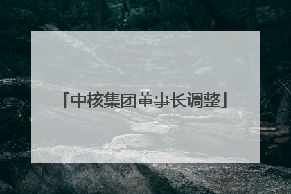 中核集团董事长调整