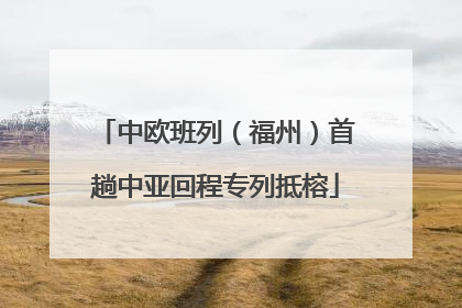 中欧班列（福州）首趟中亚回程专列抵榕