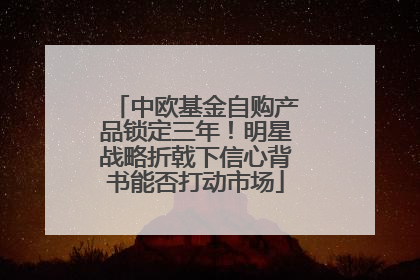 中欧基金自购产品锁定三年！明星战略折戟下信心背书能否打动市场