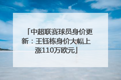 中超联赛球员身价更新：王钰栋身价大幅上涨110万欧元