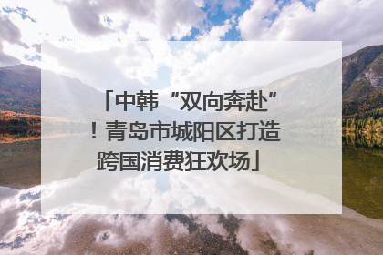 中韩“双向奔赴”！青岛市城阳区打造跨国消费狂欢场