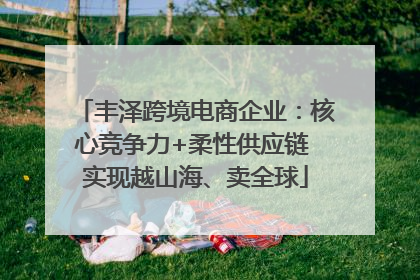 丰泽跨境电商企业：核心竞争力+柔性供应链 实现越山海、卖全球
