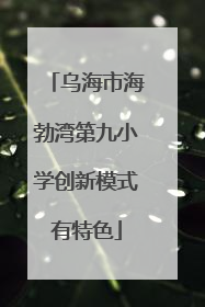 乌海市海勃湾第九小学创新模式有特色