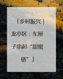 乡村振兴｜龙亭区：车厘子串起“甜蜜链”