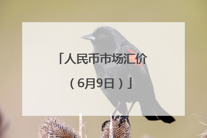人民币市场汇价（6月9日）